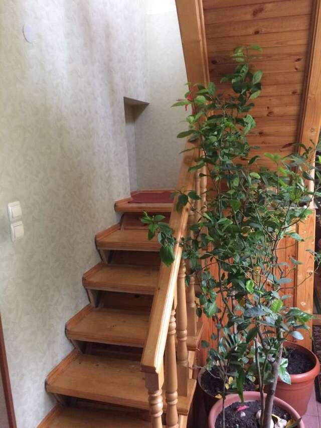 Гостевой дом Rooms with Fortetsya View Каменец-Подольский-10